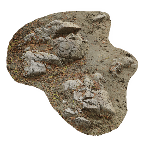 Medium Low Cracked Beach Rock Model