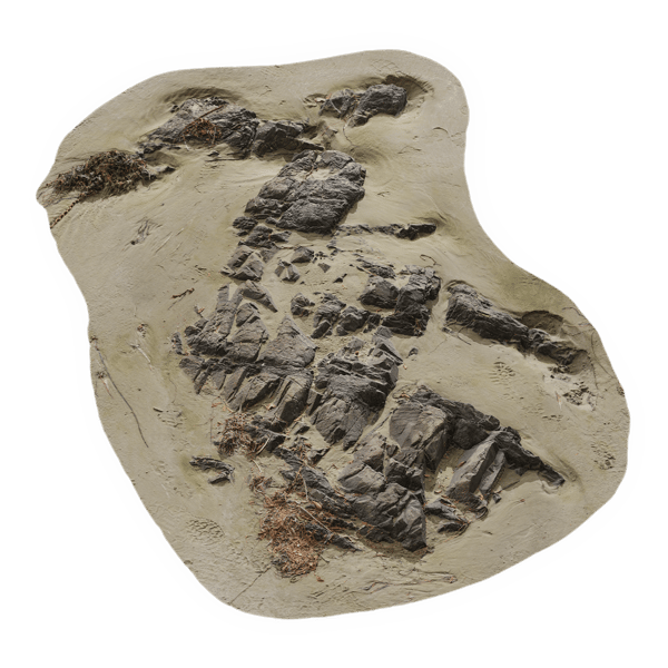 Medium Scattered Beach Rock Model