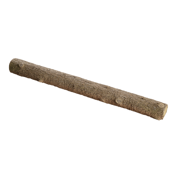 Tree Log 002