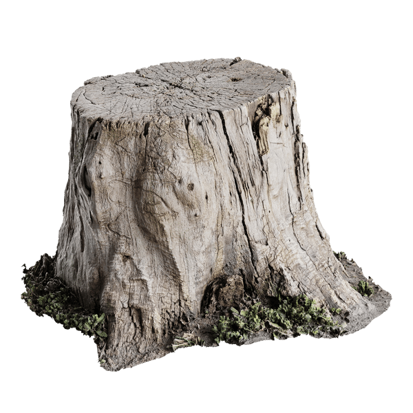 Tree Stump Models Poliigon 6238