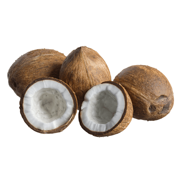Food Coconuts 001