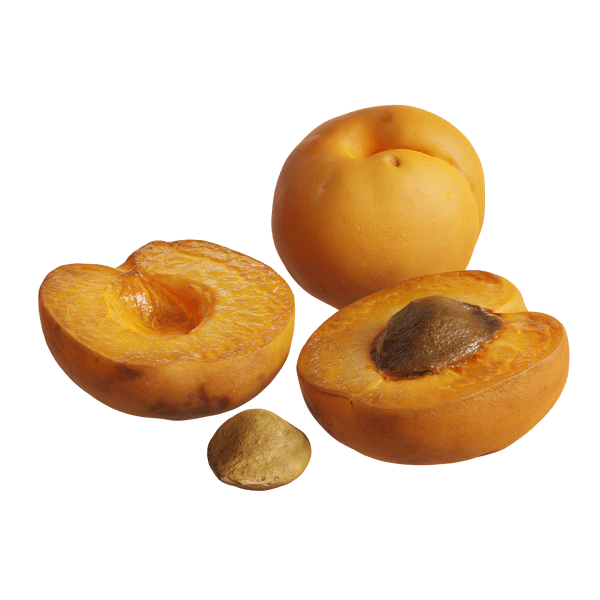 Food Apricots 001
