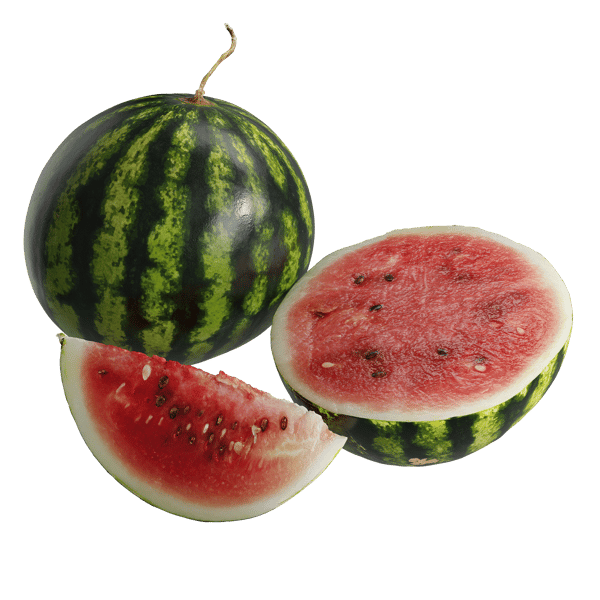 Watermelon Models