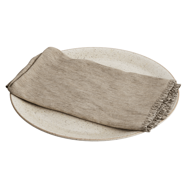 Napkin and Ceramic Plate Models