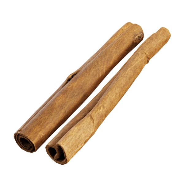 Cinnamon Sticks Models