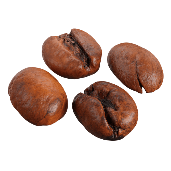 Coffee Beans Models, Robusta