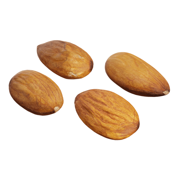 Almond Nuts Models, Raw