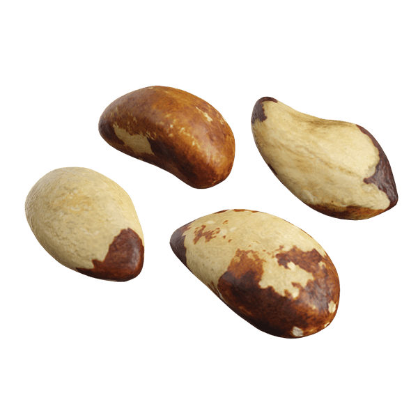 Brazil Nuts Models, Raw
