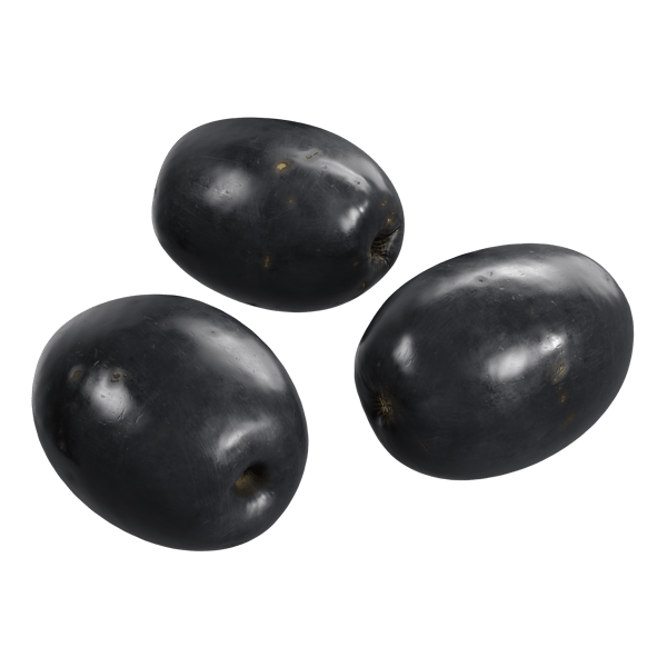 Olive Food Model, Black
