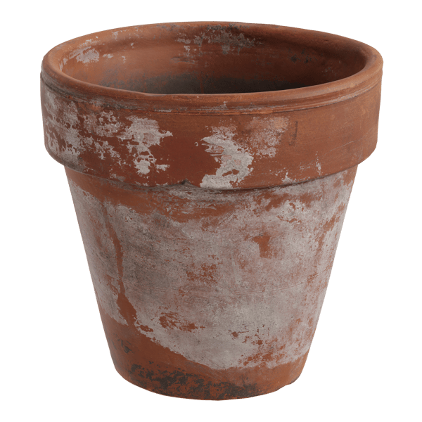 Clay Pot Model, Terracotta