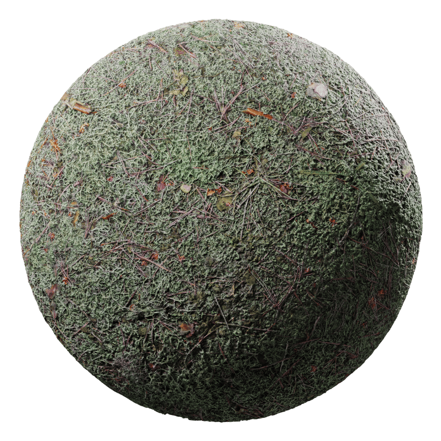 Moss Texture, Pale Green - Poliigon