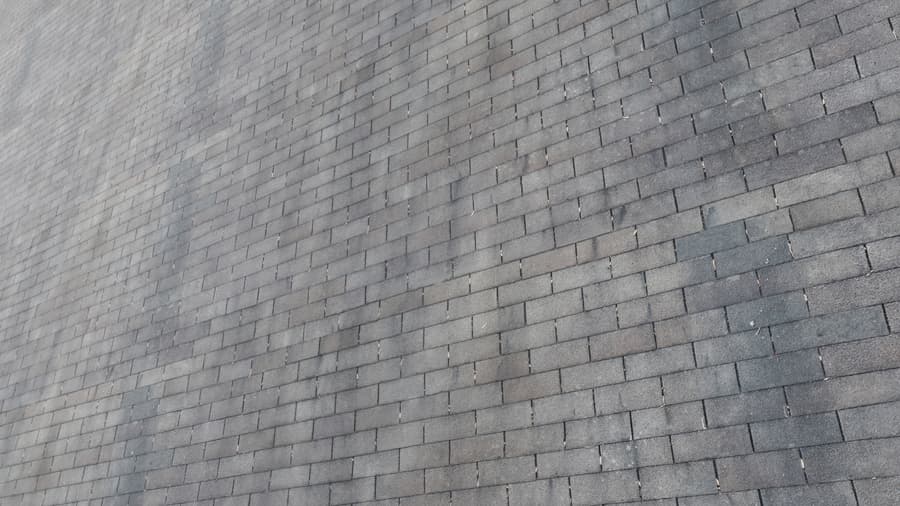 Roof Shingles Old 001