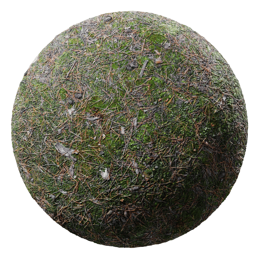 Ground Forest Mossy 001