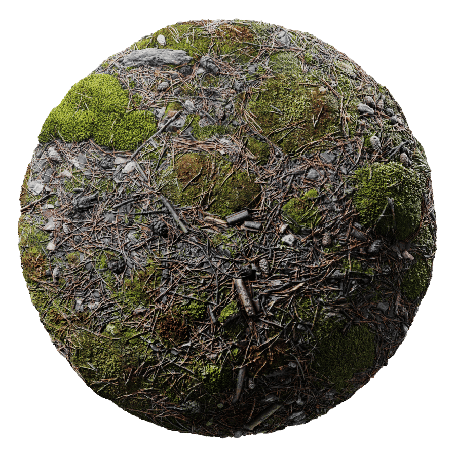 Ground Forest Mossy 002