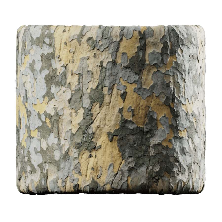 Bold Mottled Sycamore Bark Texture