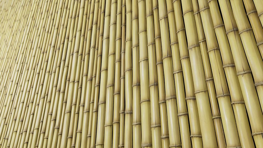 Dried Bamboo Wall Texture