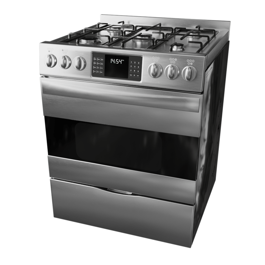 Stainless Steel Gas Oven & Stove Model