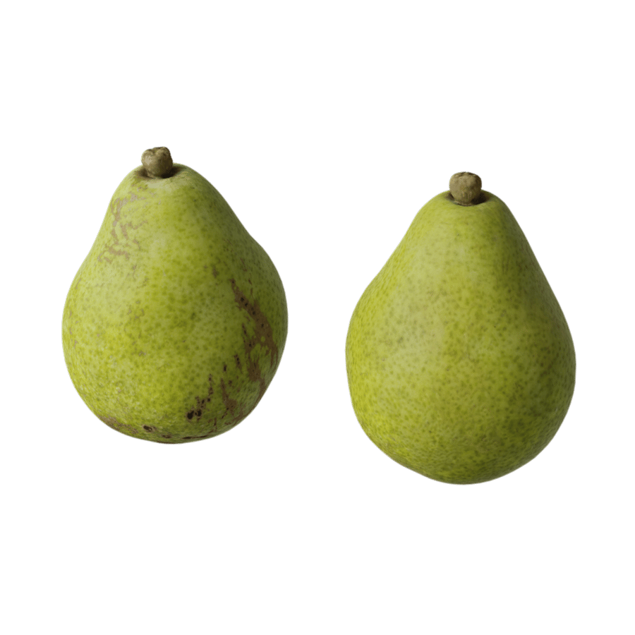 Pear Fruit Food Model