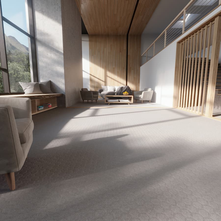 Hexagonal Cut & Loop Pile Carpet Flooring Texture, Grey
