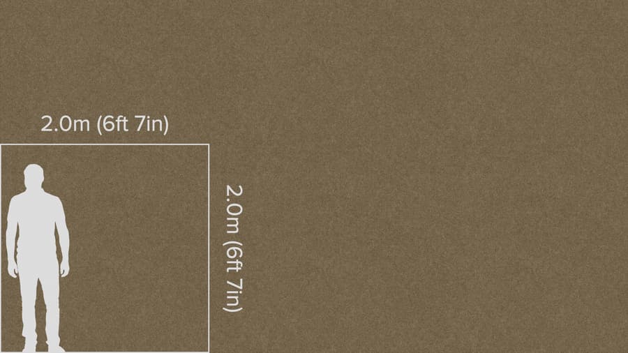 Natural Twist Pile Carpet Flooring Texture, Pale Olive Green