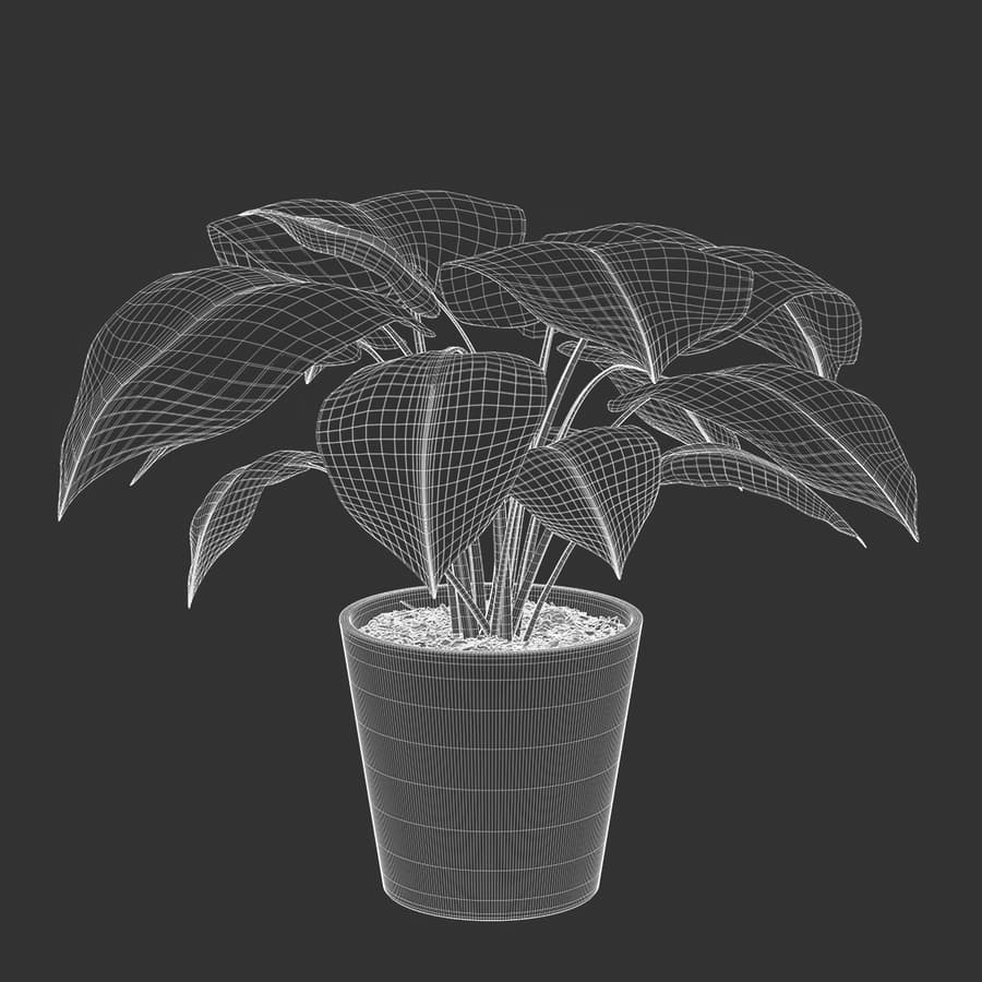 Young Monstera Plant Potted Plant Model