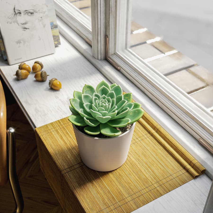 Echeveria Succulent Potted Plant Model, Green