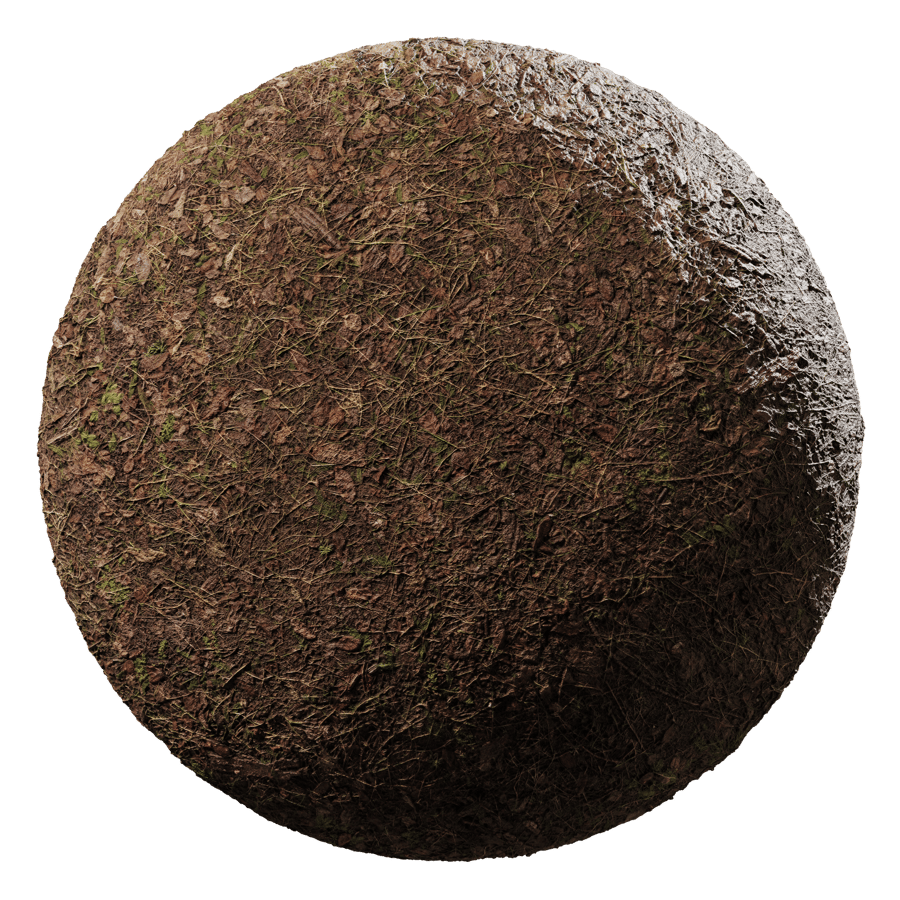Thick Debris & Weeds Forest Floor Dirt Ground Texture