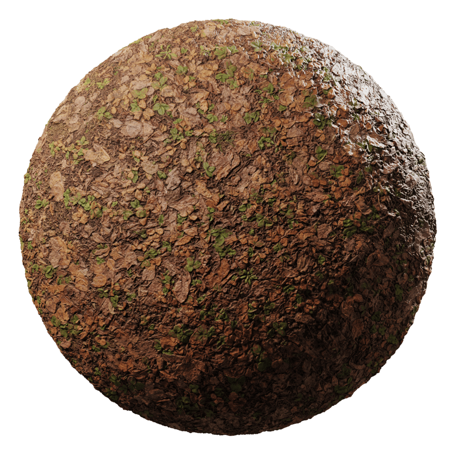 Weeds & Leaves Forest Floor Dirt Ground Texture - Poliigon