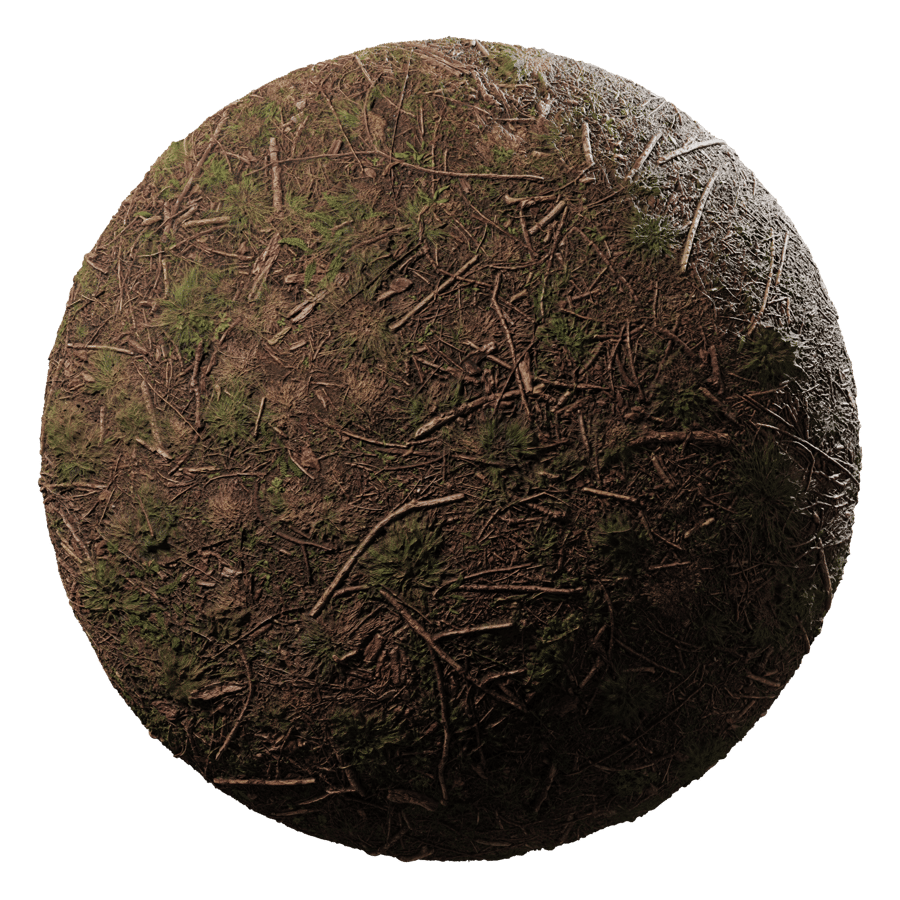 Grass & Forest Debris Dirt Ground Texture