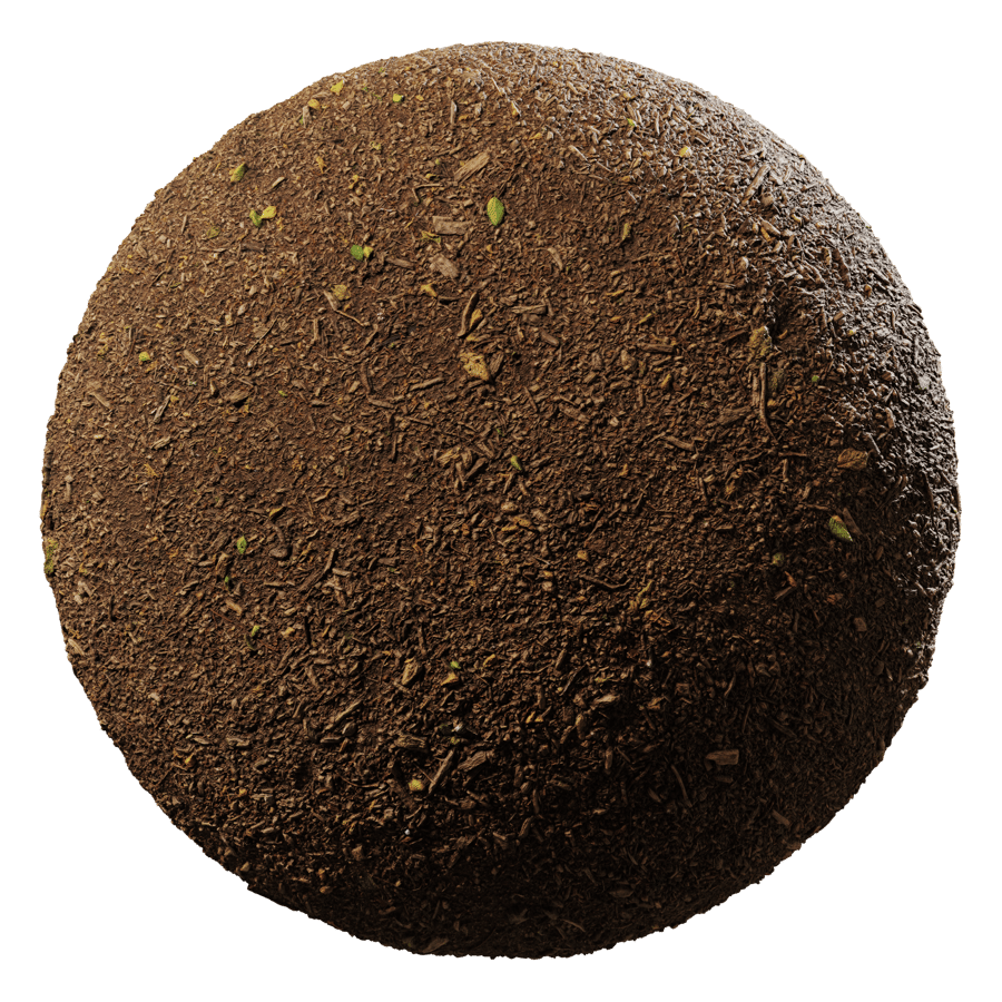 Forest Mulch Dirt Ground Texture