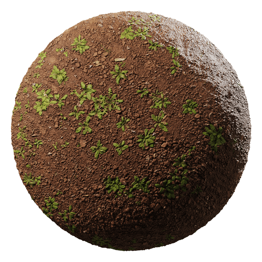 Dense Weeds & Tilled Dirt Ground Texture