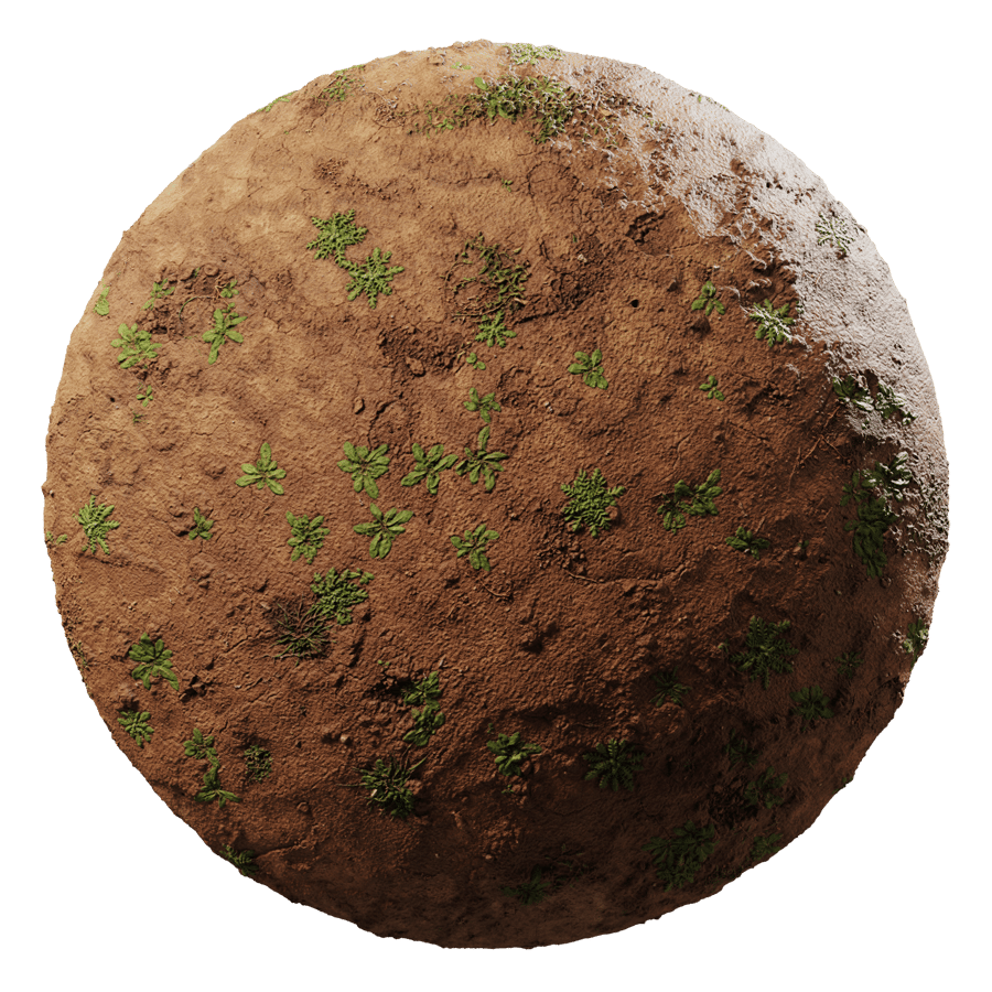 Weeds & Dirt Ground Texture
