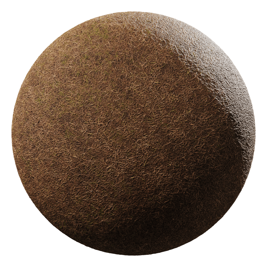 Moss & Dried Grass Ground Texture