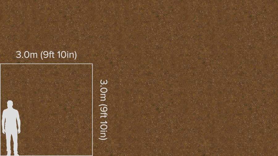 Pebbly Dirt Forest Ground Texture
