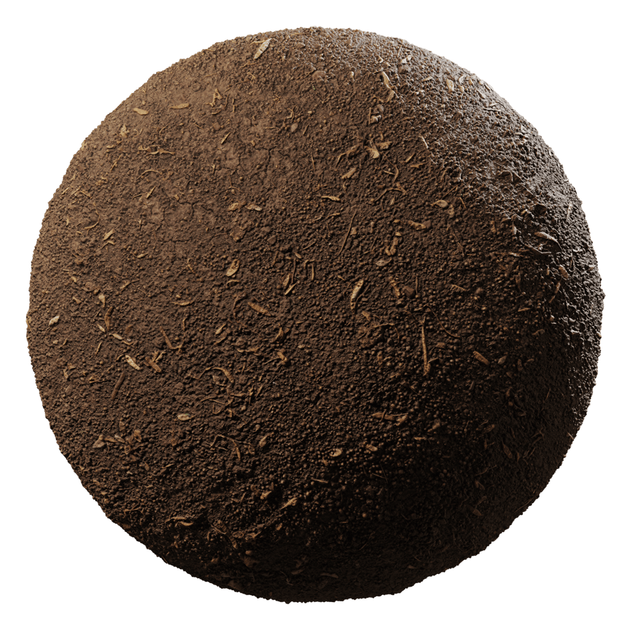 Dark Dry Dirt Forest Ground Texture
