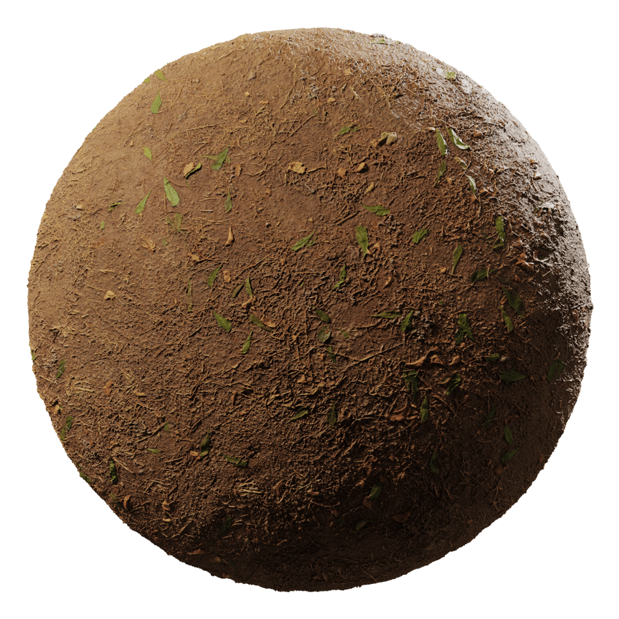 Dirt Forest Ground Texture