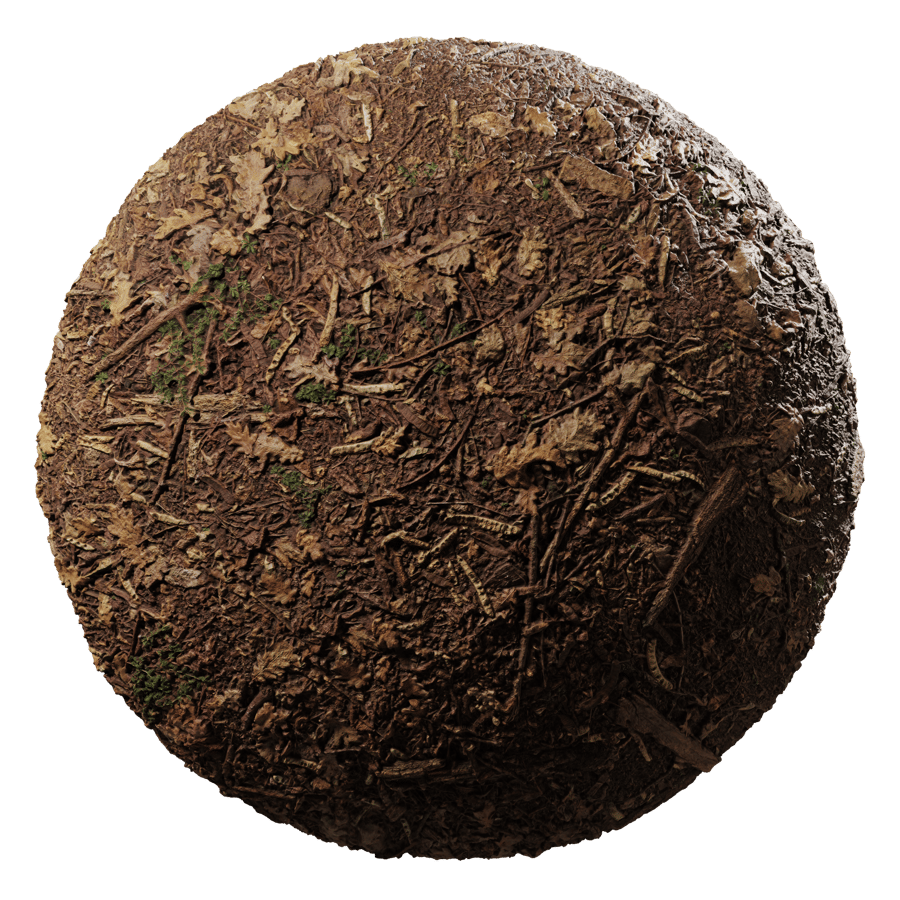Forest Leaf Debris Ground Texture