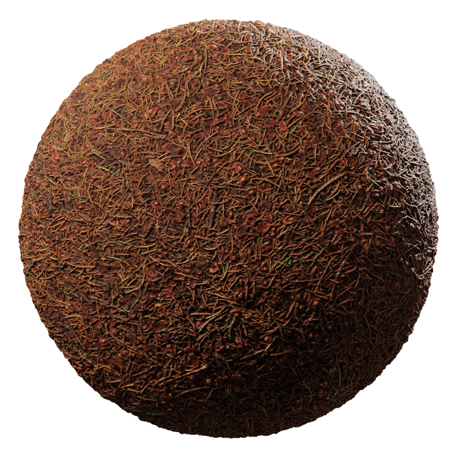 Forest Needles & Seeds Ground Texture