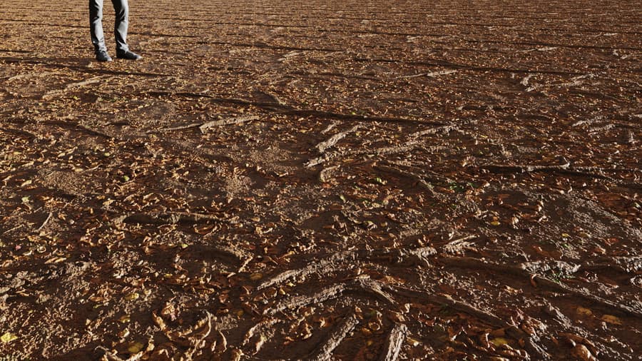 Forest Roots & Leaves Dirt Ground Texture