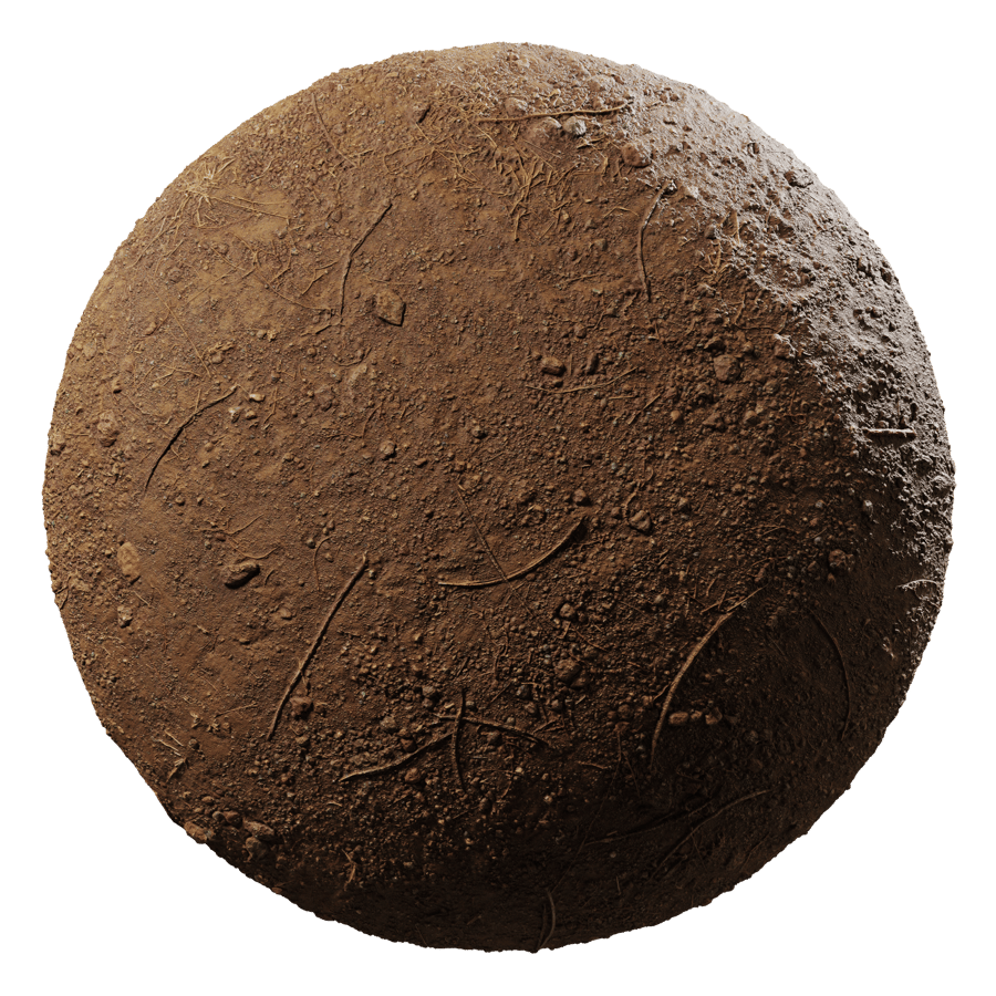 Rocky Dirt Ground Texture