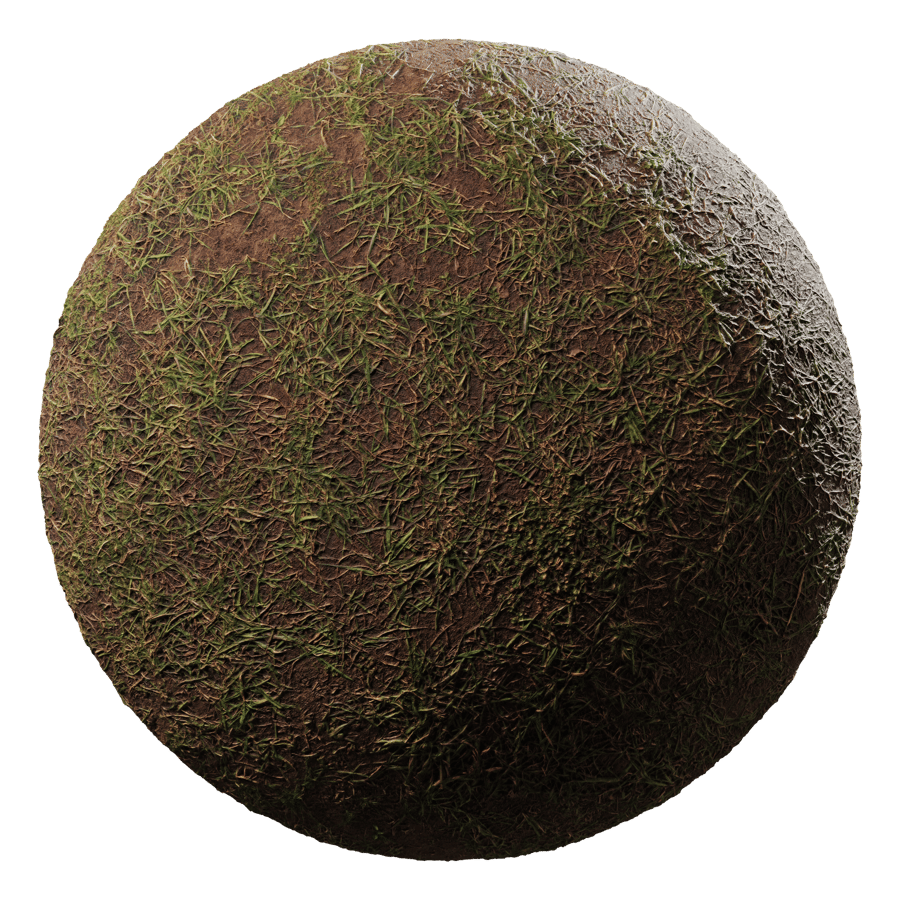 Dark Grass Ground Texture, Patchy Green