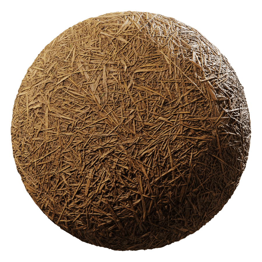 Dried Reeds Ground Texture