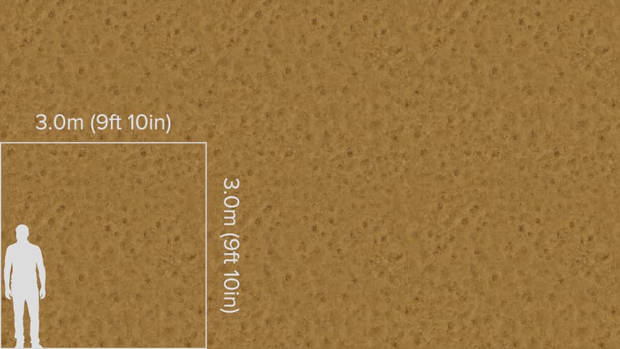 Footprints Sand Texture