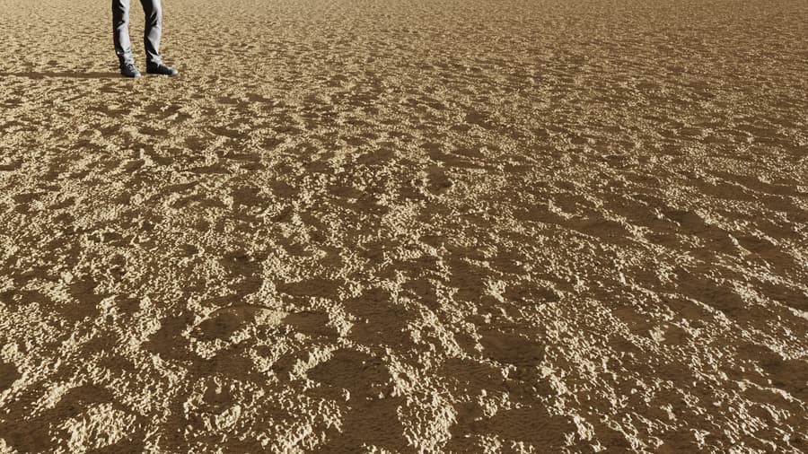 Light Footprints Sand Texture
