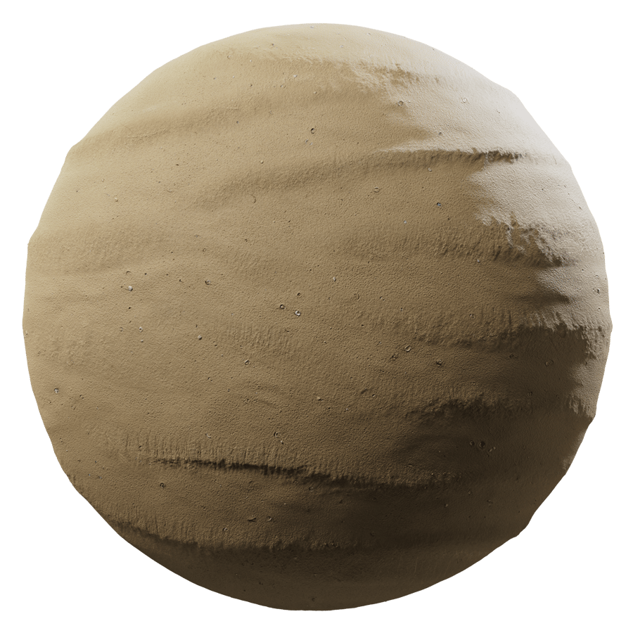 Damp Shoreline Sand Texture