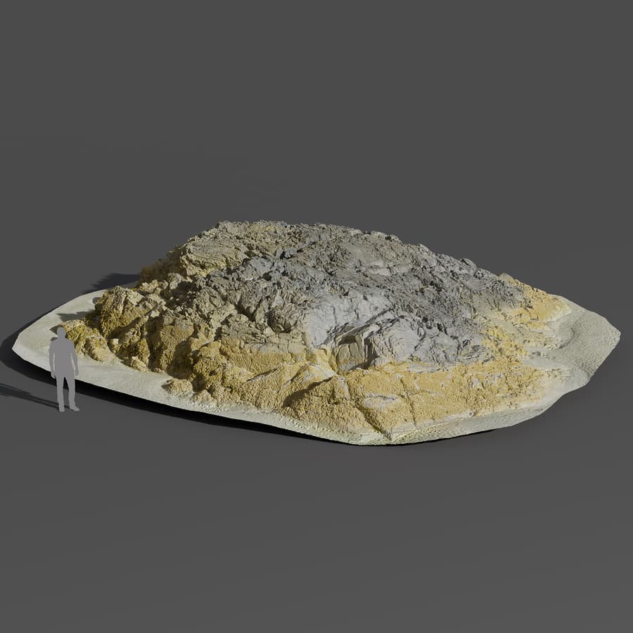Giant Lichen Covered Beach Rock Model