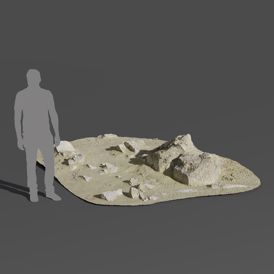Large Scattered Beach Rock Model
