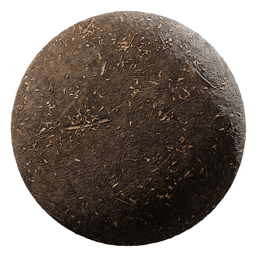 Ground Dirt Forest Seeds 002