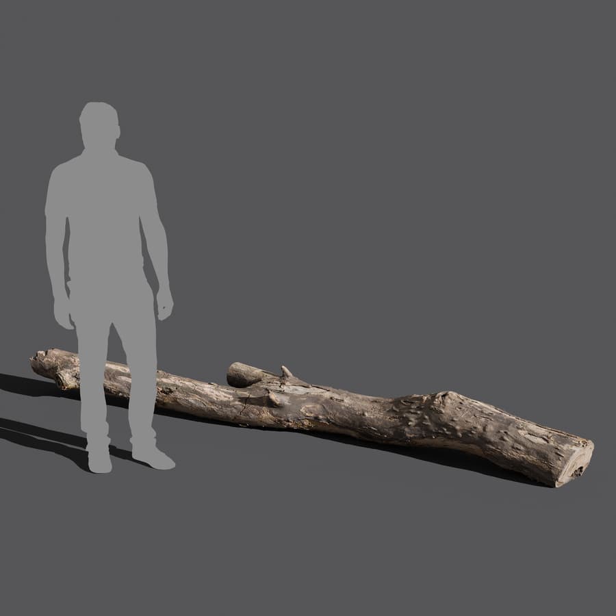 Tree Log 007