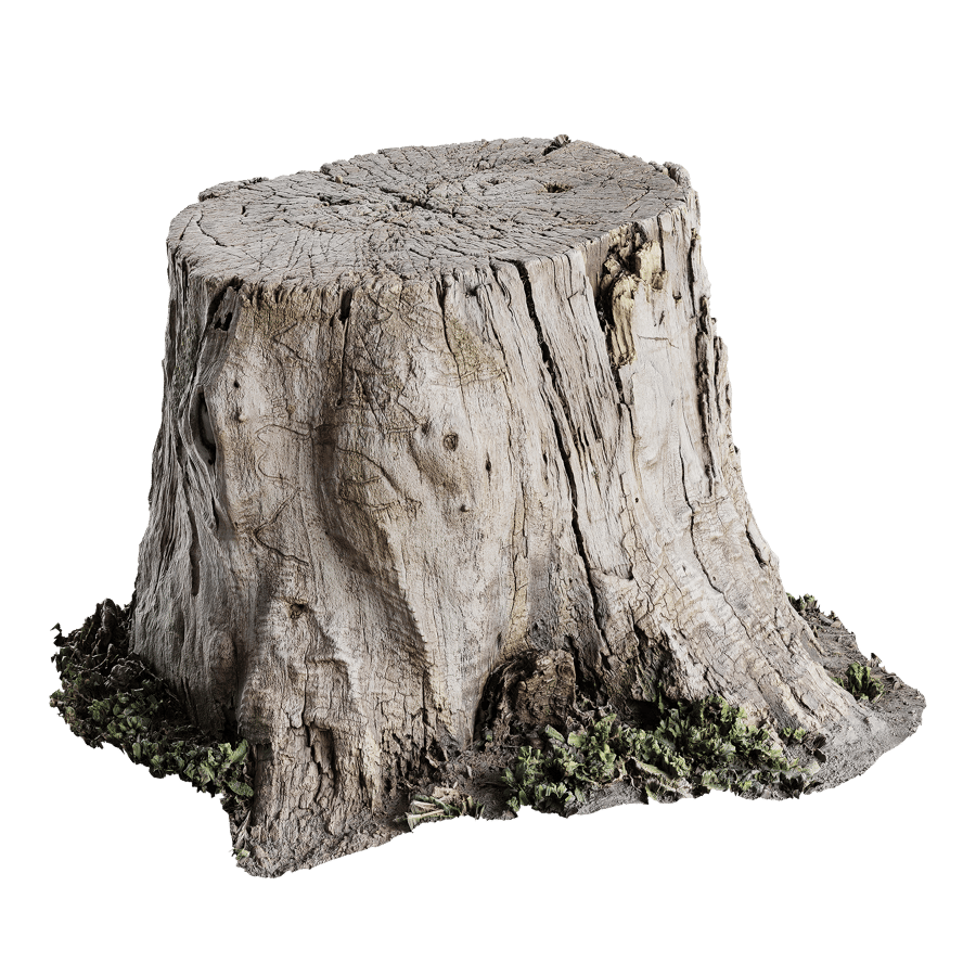 Tree Stump 018